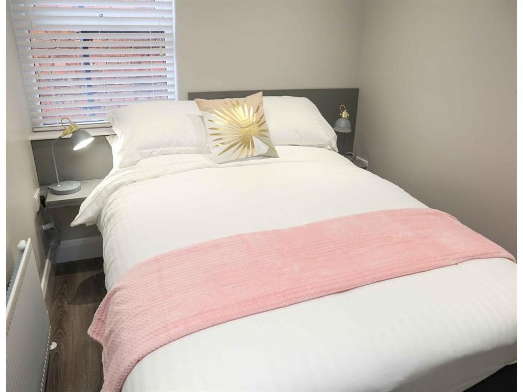 Belfast Serviced Apartments - Eglantine エクステリア 写真